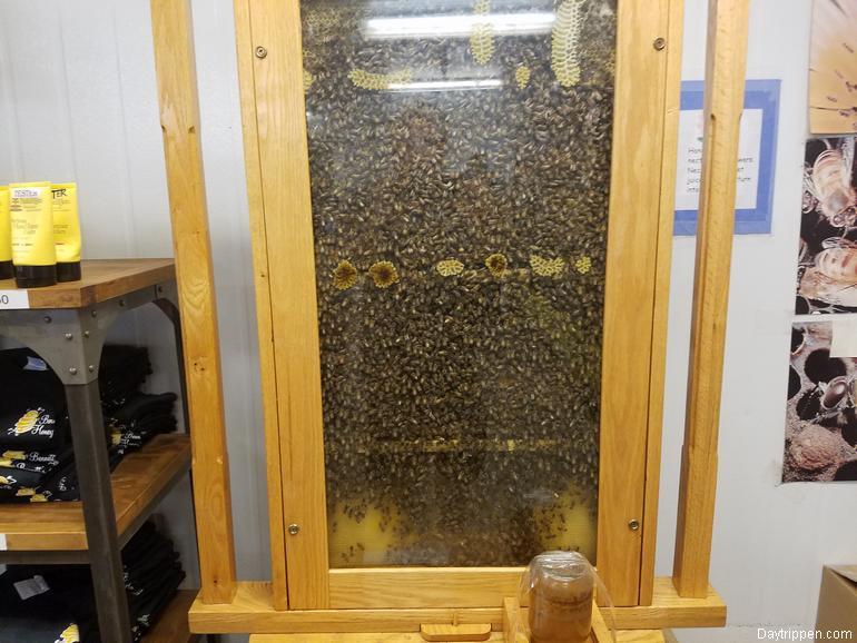 Bee Hive in Store