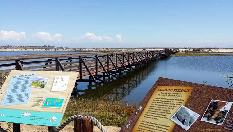 Free Places in Southern California to Explore Nature Bolsa Chica Wetlands