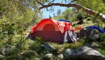 Kern River Camping