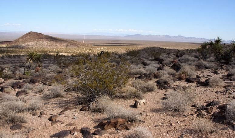 Lanfair Valley Mojave National Preserve
