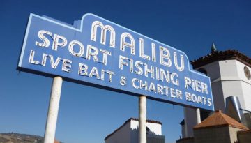 Malibu Beach Day Trip
