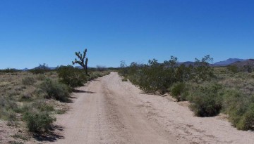Old Mojave Road