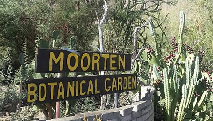 Moorten Botanical Gardens