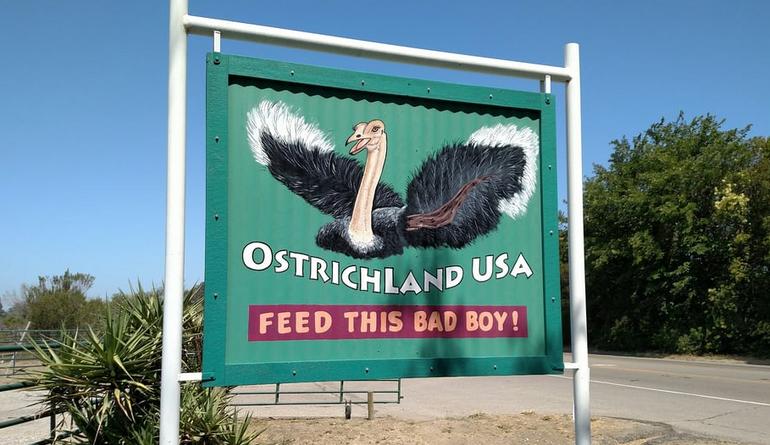 OstrichLand USA  Buellton California
