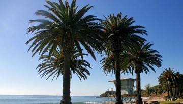 Top 10 Things To Do in Southern California