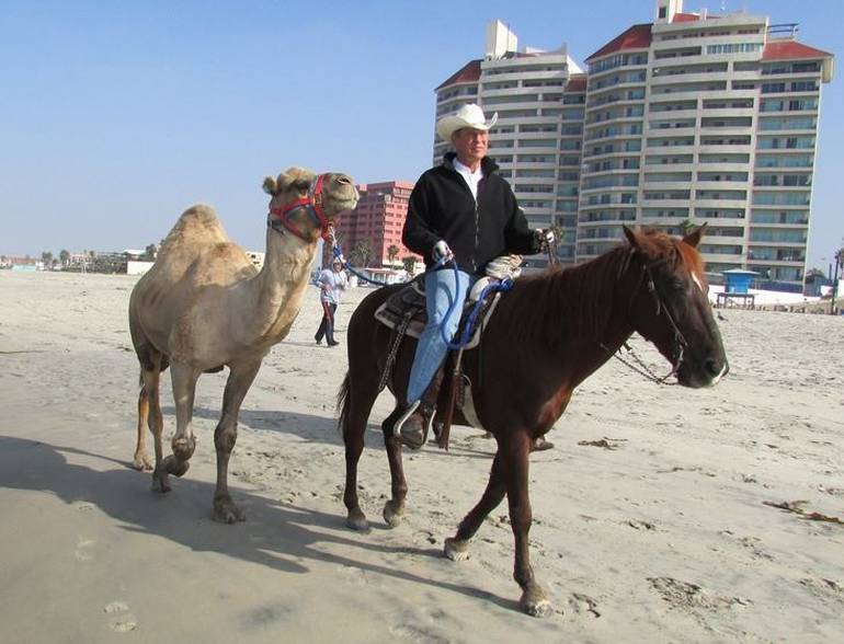 Rosarito Beach Ocean Sports Camel Rides