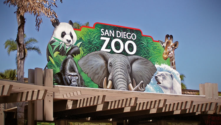 San Diego Zoo Day Trip