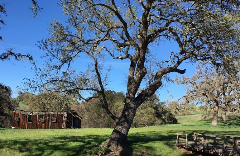 Santa Ynez Valley Day Trip Things To Do