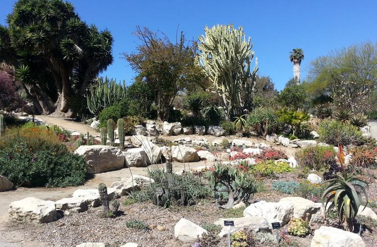 South Coast Botanic Gardens Desert Plants