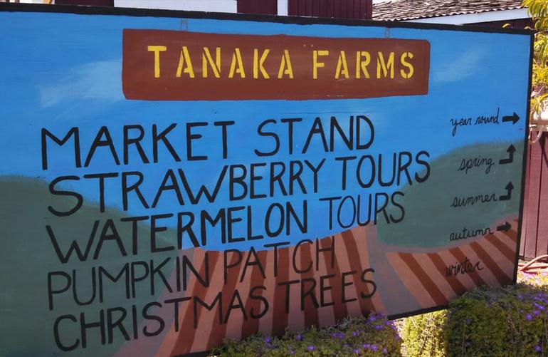 Tanaka Farms Irvine Southern California U-Pick