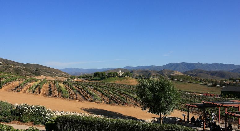 Temecula Valley Wine Country